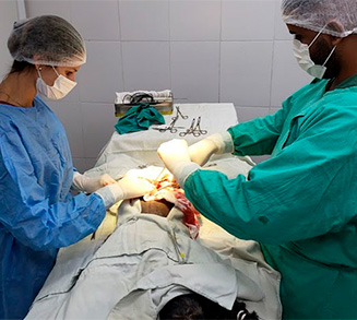 Emergência veterinária 24 horas