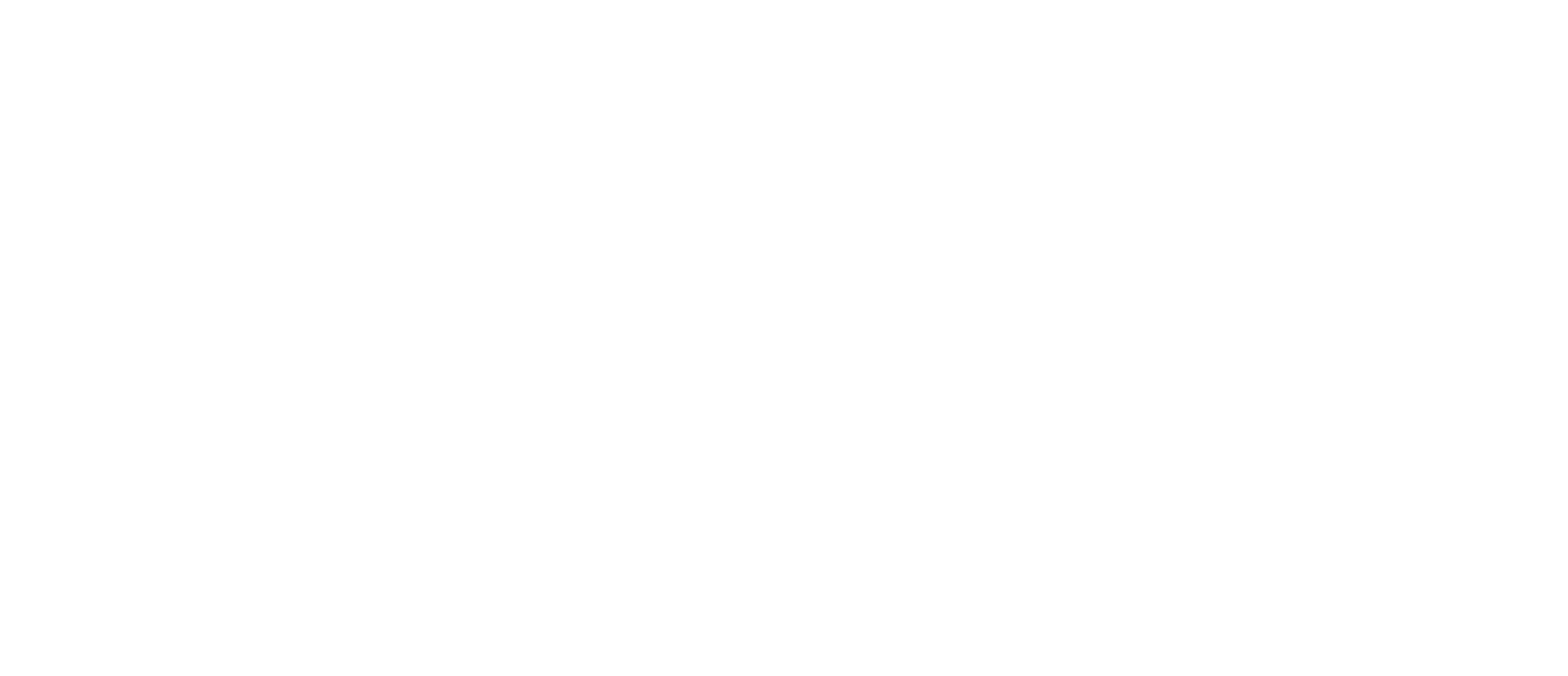 Fillus Dermovet